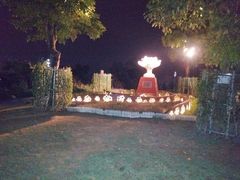 -金鸡山公园
