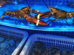 水产区-七鲜超市(通州ONE店)