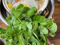 -花水湾红太阳牛肉汤锅