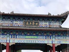 -北药泉