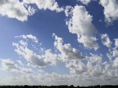 -人民防洪胜利纪念塔