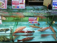 -渔民新村(番禺总店)