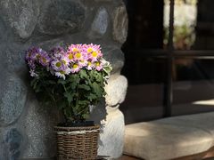 -寂照庵