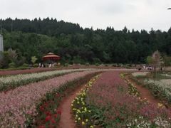 -中国香山·寿香谷