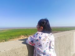 -南汇嘴观海公园