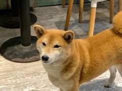 -小时光咖啡馆(北锣鼓巷店)