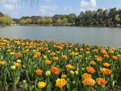 -上海鲜花港