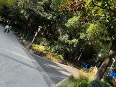 -苏州河梦清园环保主题公园