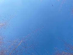 -映月湖中央公园