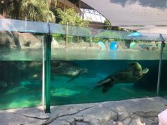 -海合安成都极地海洋公园