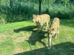 -北京野生动物园