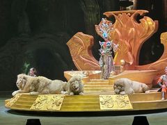 -广州长隆国际大马戏