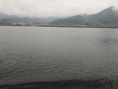 -河口景区