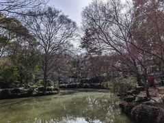 -秋霞圃
