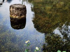 -靖西鹅泉风景区