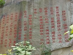 -铁山坪森林公园