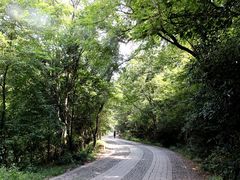 -紫金山天文台