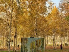 -长春市南湖公园