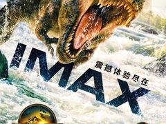 -CGV影城(卓悦中心 IMAX激光店)