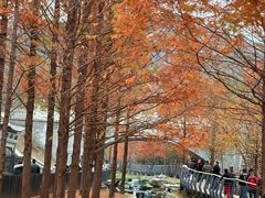 -白水寺森林公园