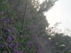 -北极寺公园