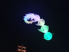 -珠海长隆海洋王国