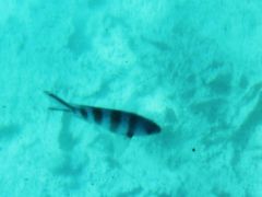 -蓝湾海滩