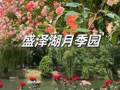 -昆山城市生态森林公园