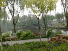 -石家庄市植物园
