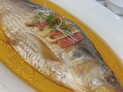 古法秘制蒸鲥鱼-麟1929(外滩店)