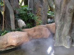 -横店影视城梦幻谷园区