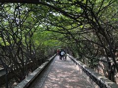 -养马岛旅游度假区