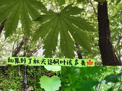 -五女山景区
