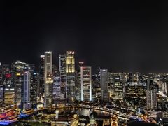 -新加坡瑞士史丹福酒店