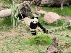 -宁波野生动物园