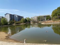 -安徽大学(磬苑校区)