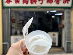 -洪馨椰子
