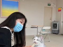 -怪兽屋·羊驼·猫咖·狗咖(俊华广场店)