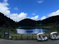 -武陵山森林公园