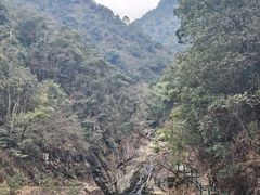 -泽雅七瀑涧景区