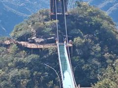 -老北京炸酱面大王.铜锅涮肉(朝阳门店)