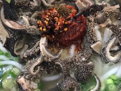 -攀枝花·任德琼·盐边羊肉米线