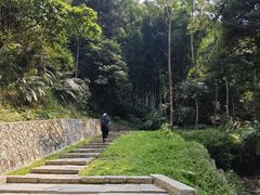 -黄埔油麻山森林公园