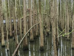 -青山湖景区