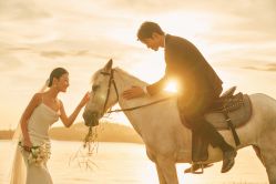 -花漾摄影优选工作室(东莞原创作品店)