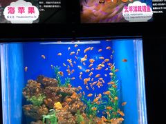 -烟台海昌鲸鲨海洋公园