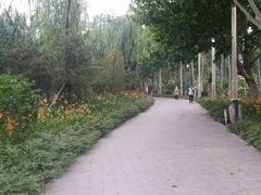 -廊坊文化艺术中心