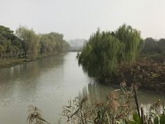 -溱湖国家湿地公园