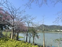 -风云岭森林公园