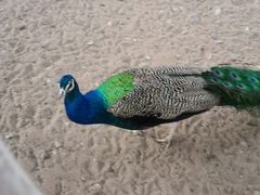 -党河风情线国家水利风景区